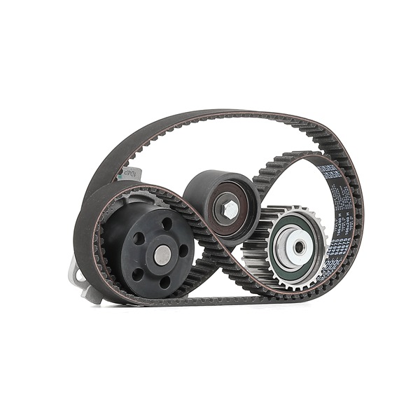MAGNETI MARELLI 132011160053: Wasserpumpe + Zahnriemensatz Zähnez.: 166, Breite: 24mm