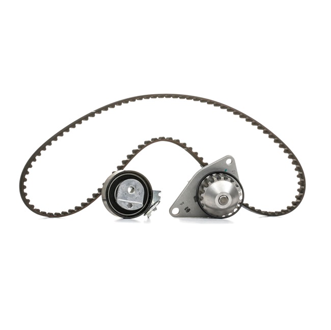MAGNETI MARELLI 132011160059 Distributieriem set + waterpomp CITROЁN C3 II (SC_) 60 Pk Benzine kosten