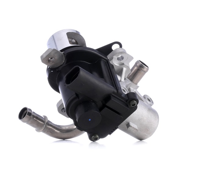 MAGNETI MARELLI 571822112127 Izpl. gāzu recirkulācijas vārsts RENAULT SCENIC 3 (JZ0/1) 95 ZS Dīzelis cena