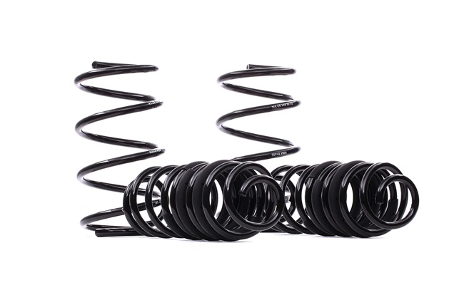 EIBACH E10-81-016-04-22: Set arcuri Pro-Kit