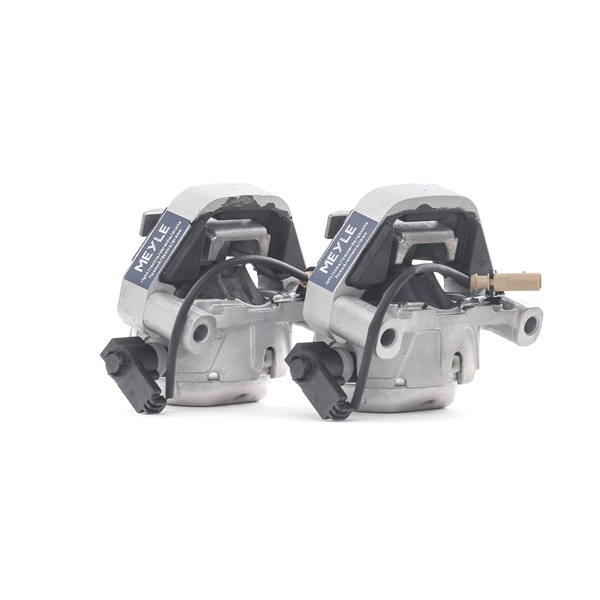 MEYLE 100 199 3103/S: Suport motor MEYLE-ORIGINAL-KIT: Better solution for you! pe ambele parti