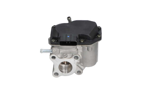 KAVO PARTS EEG-9022: AGR-Ventil