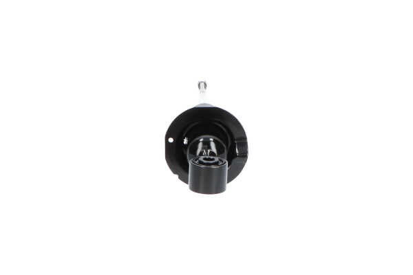 KAVO PARTS SSA-6531: Amortiguador Eje delantero, Presión de gas, Amortiguador con asiento de muelle