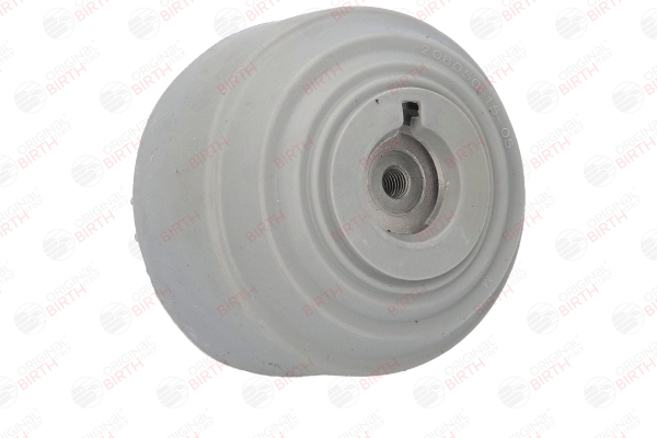 BIRTH 53177: Soporte de motor Eje delantero, izquierda, Eje delantero, derecha