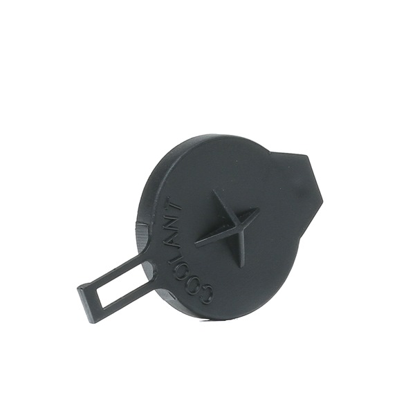 CALORSTAT by Vernet RC0165: Lock till expansionskärl