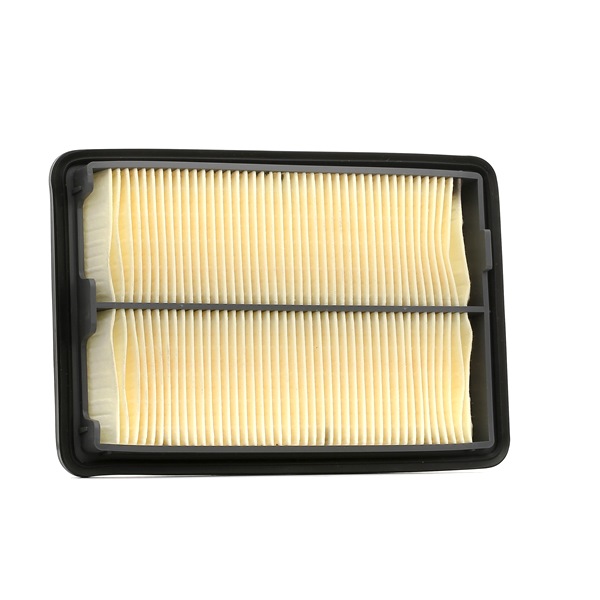 FILTRON AP 124/2: Gaisa filtrs