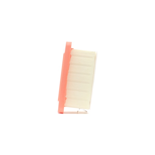 FILTRON AP 133/6: Gaisa filtrs