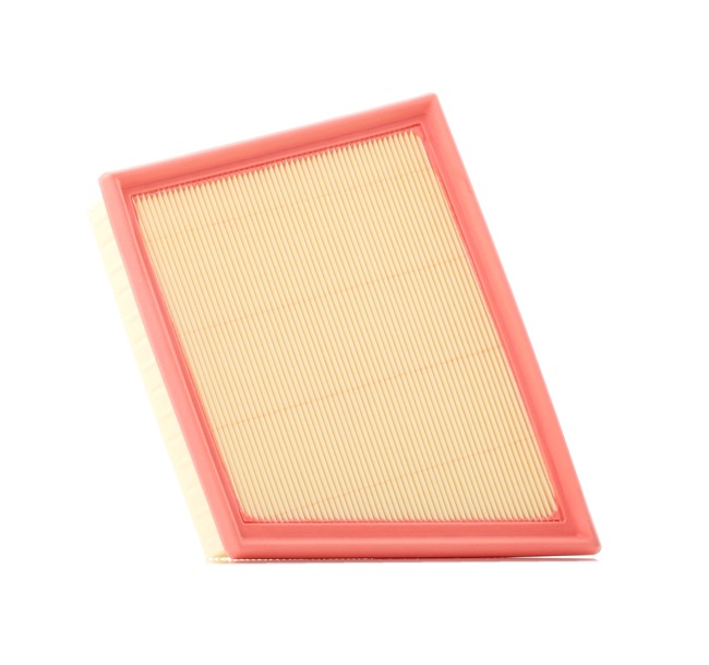 FILTRON AP 193/8: Filtru aer