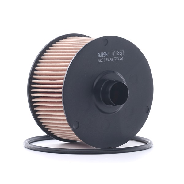 FILTRON OE 666/3 Ölfilter DACIA Duster III (P1310) 131 PS Benzin/Elektro Kosten