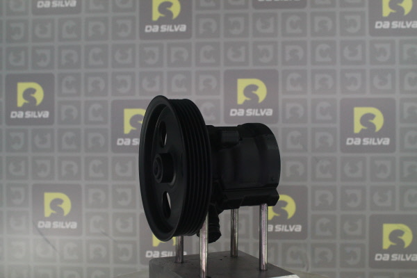 DA SILVA DP3553: Servopumpe