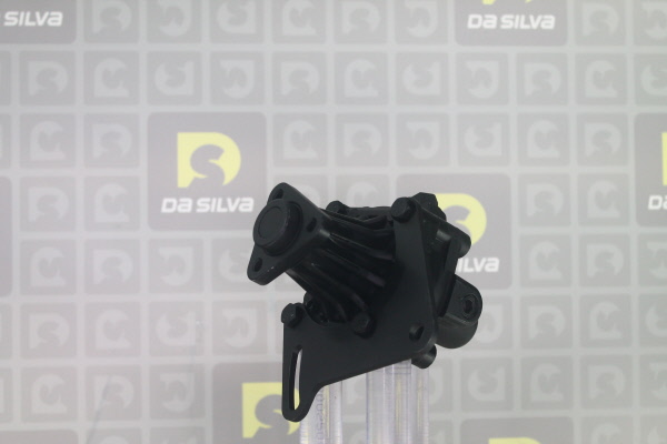 DA SILVA DP3559: Servopumpe