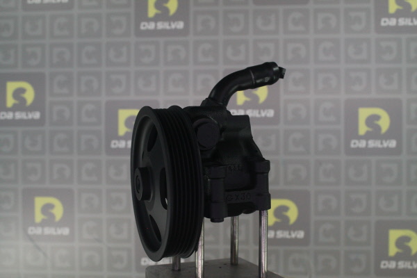 DA SILVA DP3560: Servopumpe
