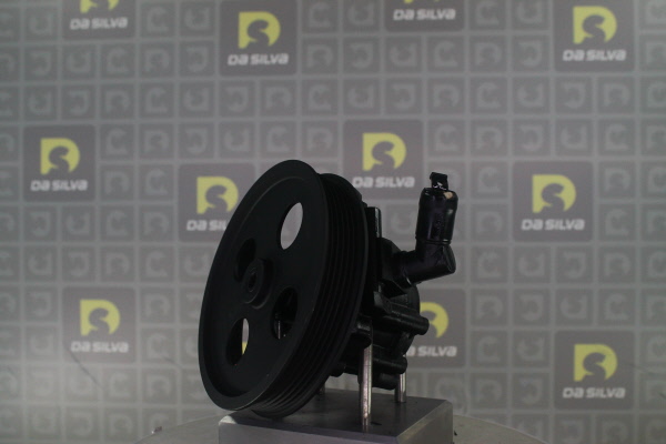 DA SILVA DP3564: Servopumpe