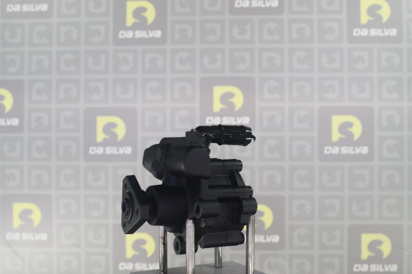 DA SILVA DP3617: Servopumpe