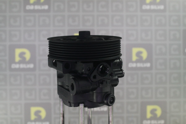 DA SILVA DP3620: Servopumpe