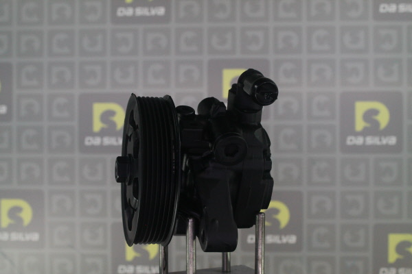 DA SILVA DP3623: Servopumpe