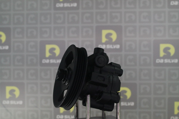 DA SILVA DP3629: Servopumpe
