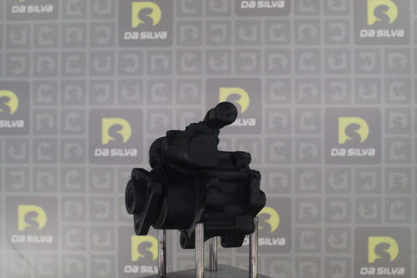 DA SILVA DP3651: Servopumpe