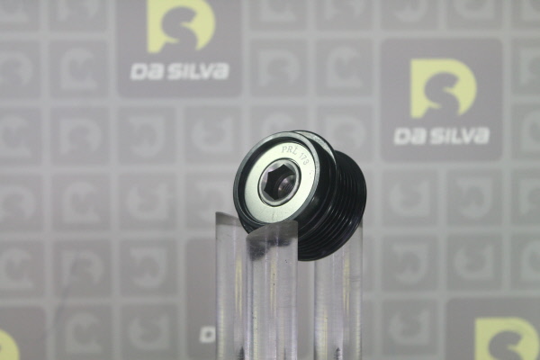 DA SILVA PRL173: Generatorfreilauf