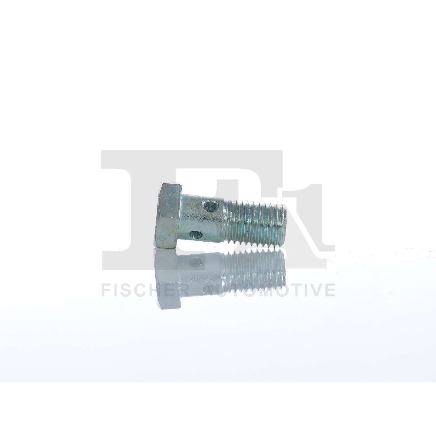 FA1 989-12-003: Hohlschraube, Lader