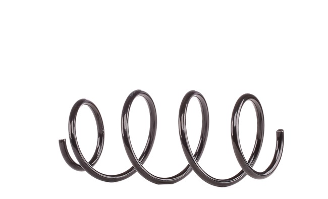 MAXGEAR 60-0481: Arc spiral
