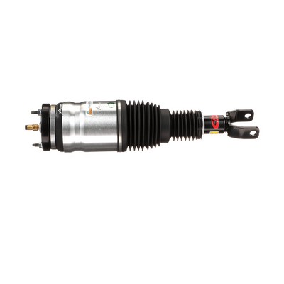 Arnott AS-3017 Ammortizzatore pneumatico RAM 1500 Standard Cab Pick-up (DS) 243 CV Diesel costo