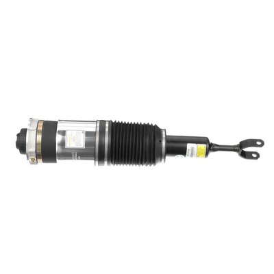 Arnott AS-3230 Ammortizzatore pneumatico AUDI A6 Avant (4B5, C5) 130 CV Benzina costo