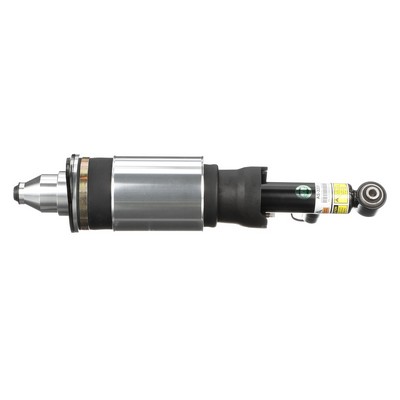 Arnott AS-3231 Ammortizzatore pneumatico AUDI A6 Avant (4B5, C5) 450 CV Benzina costo