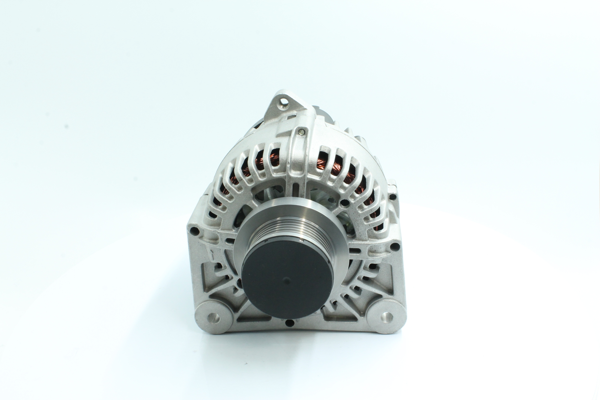 PowerMax 89216253: Kintamosios srovės generatorius PowerMax 120A