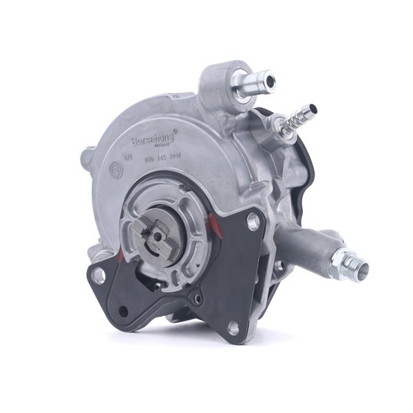 Borsehung B18771 Vacuümpomp rembekrachtiger VOLKSWAGEN Transporter 5 (7JD, 7JE, 7JL, 7JY, 7JZ, 7FD) 235 Pk Benzine kosten
