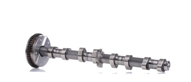 Borsehung B18979 Nockenwelle VW Passat Alltrack (365) 1.8 TSI 160 PS Benzin