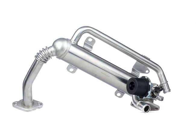 RIDEX 4032C0002: AGR Kühler mit Dichtung