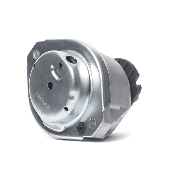 RIDEX 247E0376: Suport motor dreapta