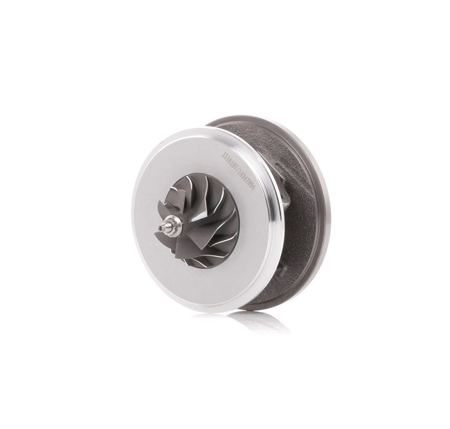 RIDEX 4973C0018: Rumpfgruppe, Lader