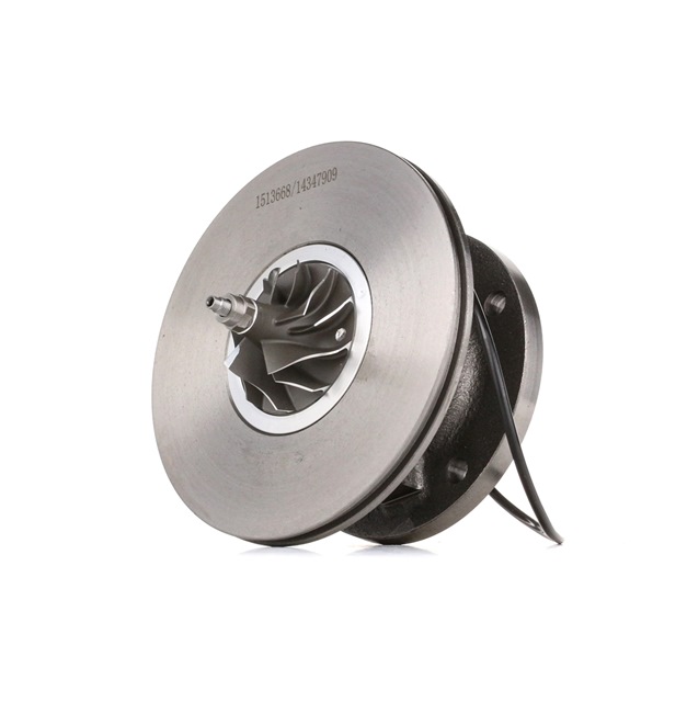 RIDEX 4973C0024: Turbo patroon Met pakking