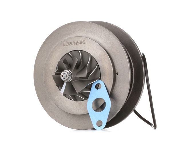 RIDEX 4973C0030: Rumpfgruppe, Lader
