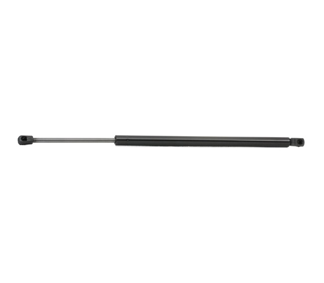 RIDEX 219G0866: Heckklappendämpfer beidseitig, 550mm