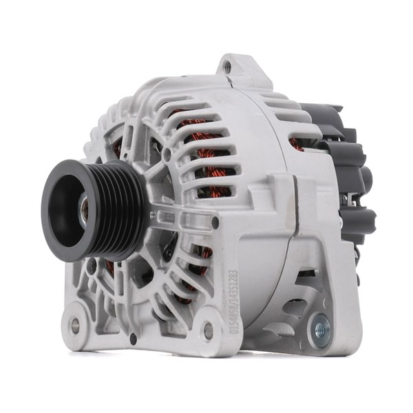 STARK SKGN-0320293: Ģenerators 110A