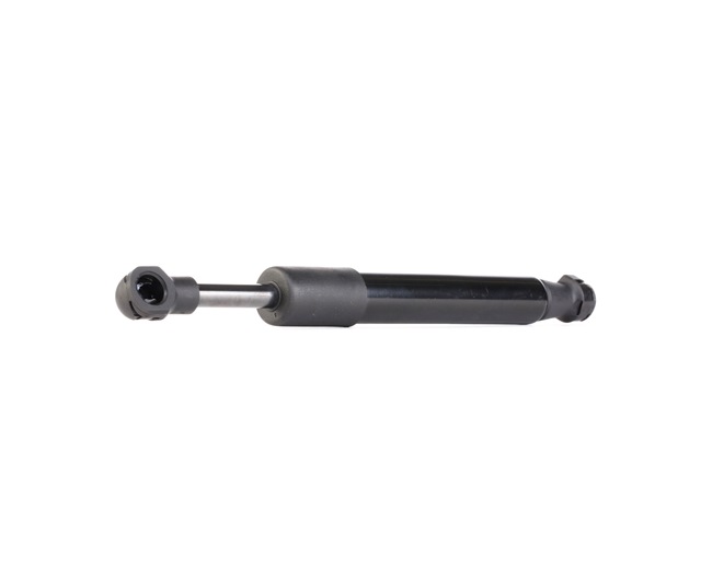 RIDEX 219G0875: Gasveer achterklep 195,5mm