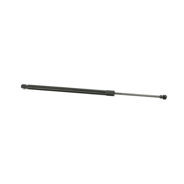 RIDEX 219G0876: Heckklappendämpfer