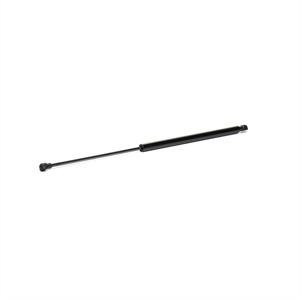 RIDEX 219G0880: Baklukedemper