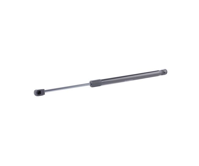 RIDEX 219G0890 Αμορτ. αερίου, χώρος αποσκ. / φόρτωσης SUZUKI SWIFT 3 (MZ, EZ) 69 PS Πετρέλαιο κόστος