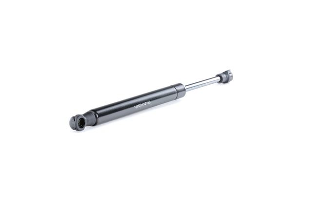 RIDEX 219G0893 Heckklappendämpfer