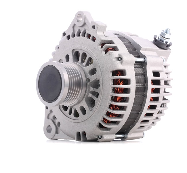 STARK SKGN-0320336: Alternatore 110A