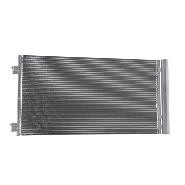 RIDEX 448C0244: Condensator, climatizare cu uscator