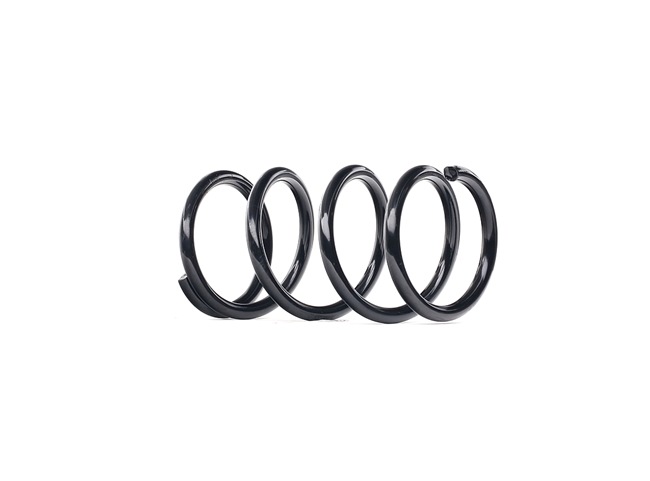 RIDEX 188C0620: Arc spiral puntea spate