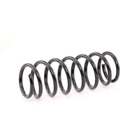 STARK SKCS-0040640: Arc spiral puntea spate