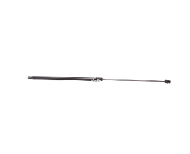 RIDEX 514G0139: Gasveer motorkap