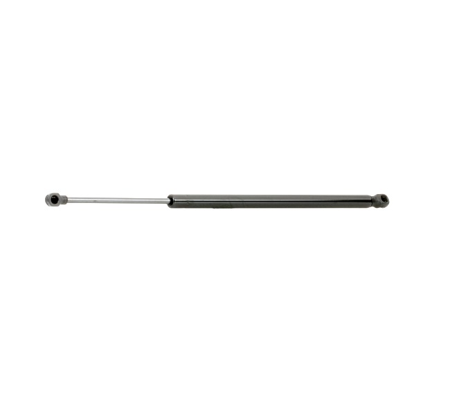 RIDEX 2454G0024 Gasfeder, Heckscheibe