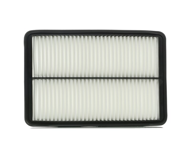 DENCKERMANN A142098: Filtru aer